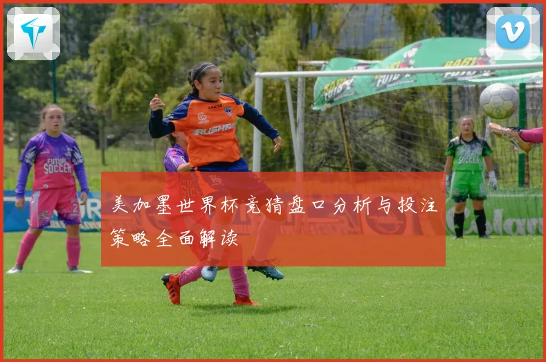 美加墨世界杯竞猜盘口分析与投注策略全面解读