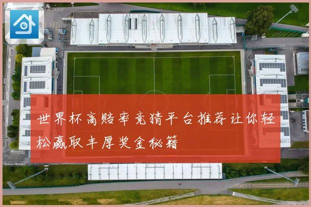 世界杯高赔率竞猜平台推荐让你轻松赢取丰厚奖金秘籍